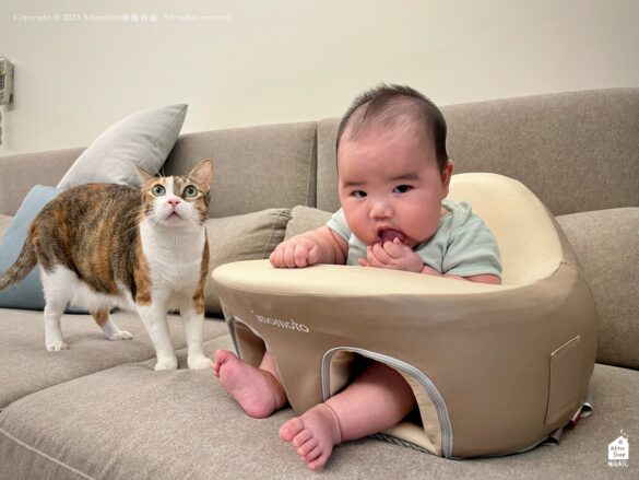 淘寶imomoto寶寶學坐椅｜Mimo與糰