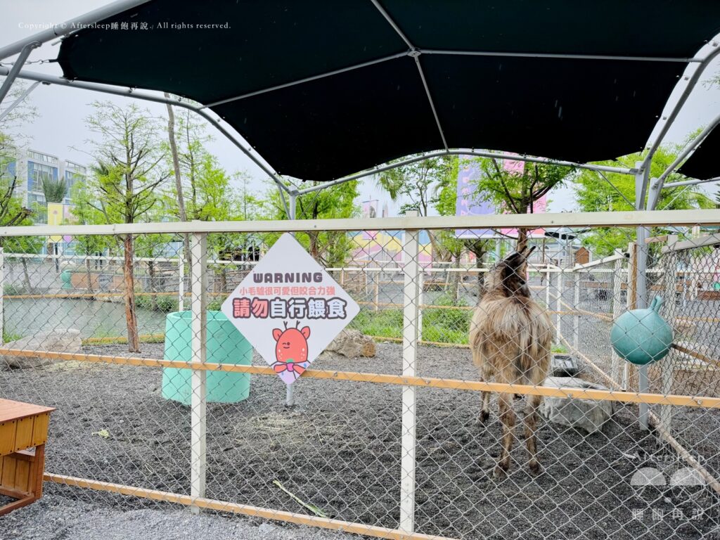 星夢森林劇場｜小毛驢