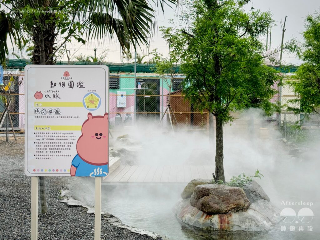 星夢森林劇場｜水豚4